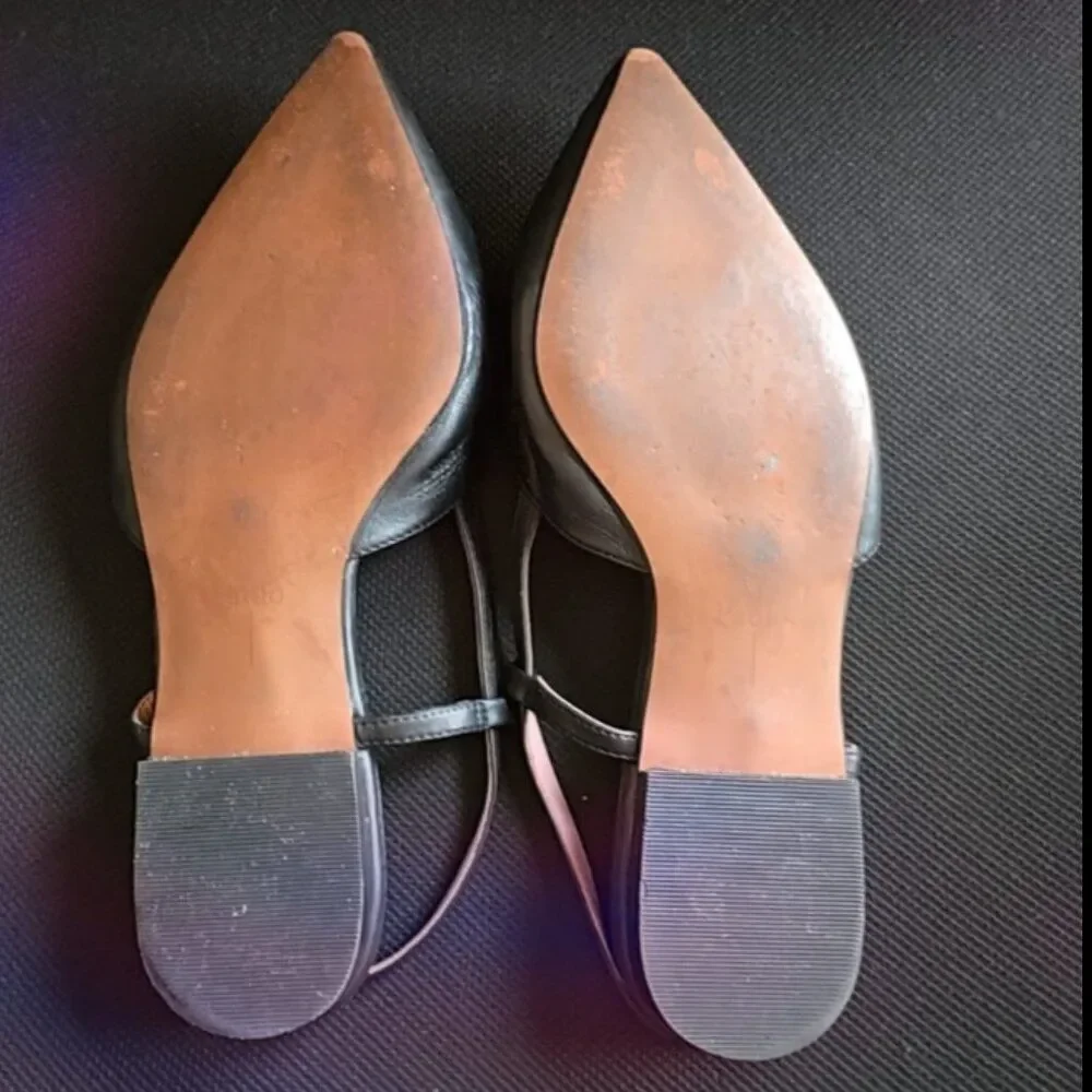 Linea Paolo Cammy Slingback Pointed‎ Toe Flat